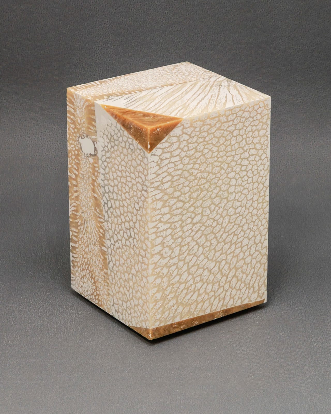 Chauncey Flay, Seawall 87, 2025