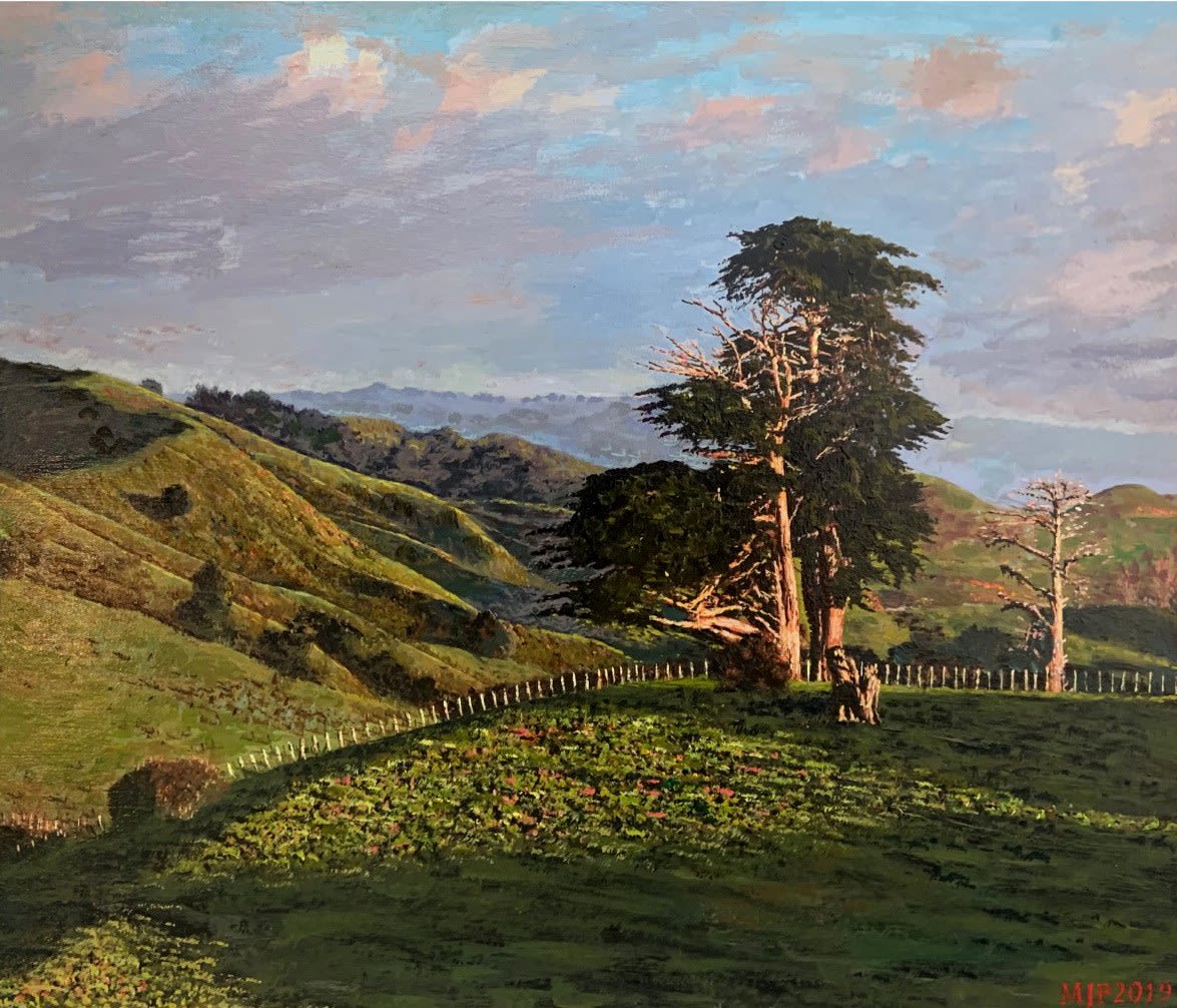 Matt Palmer, Tree Port Waikato