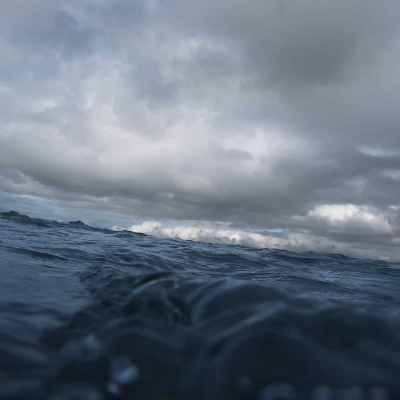 Cathy Carter, Adrift ii