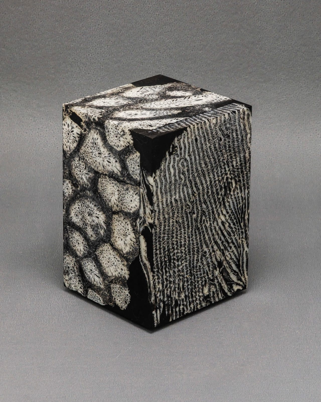 Chauncey Flay, Seawall 66, 2025