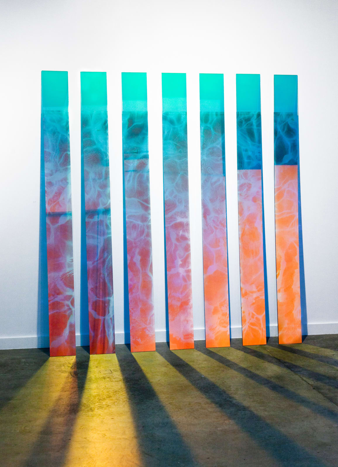 Cathy Carter, Seven Sisters