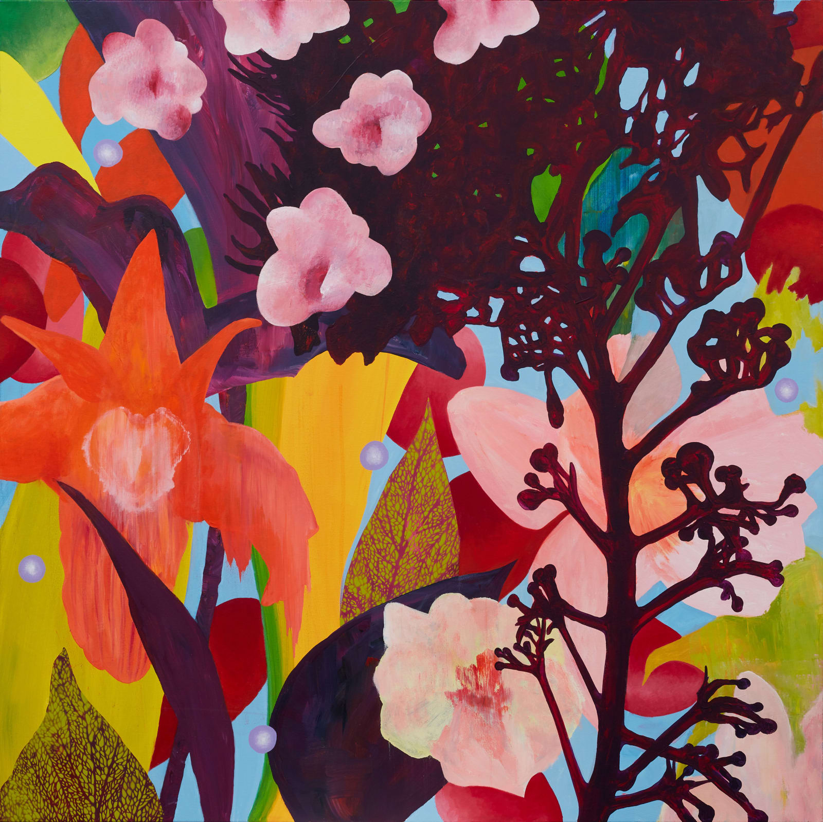 Michael McHugh, Aitutaki , 2023