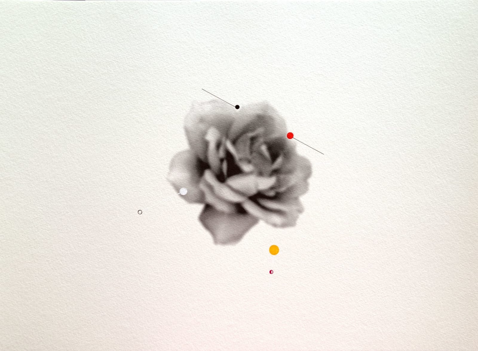 Shen Wei, Untitled, 2022