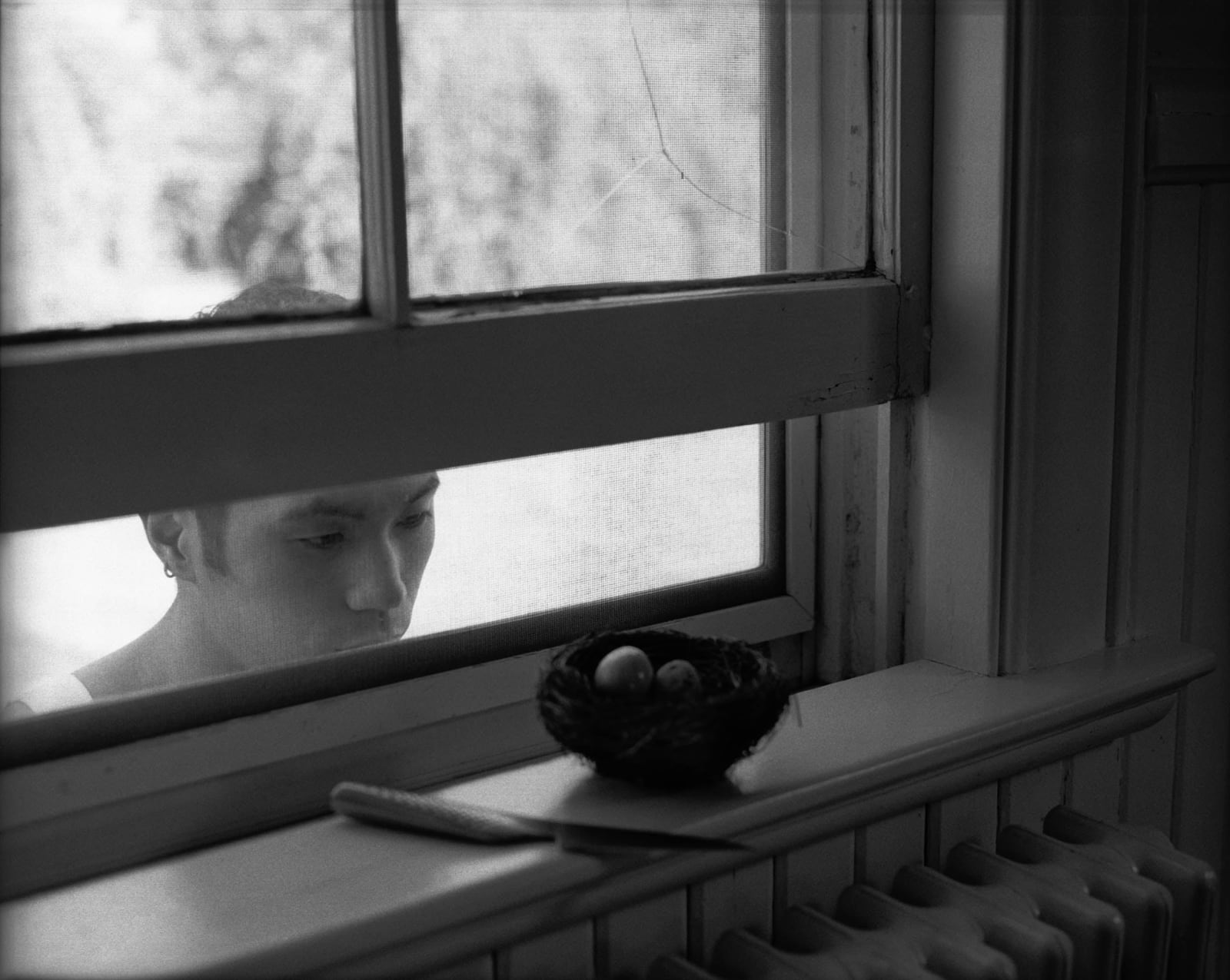 Shen Wei, Eggs, 2004