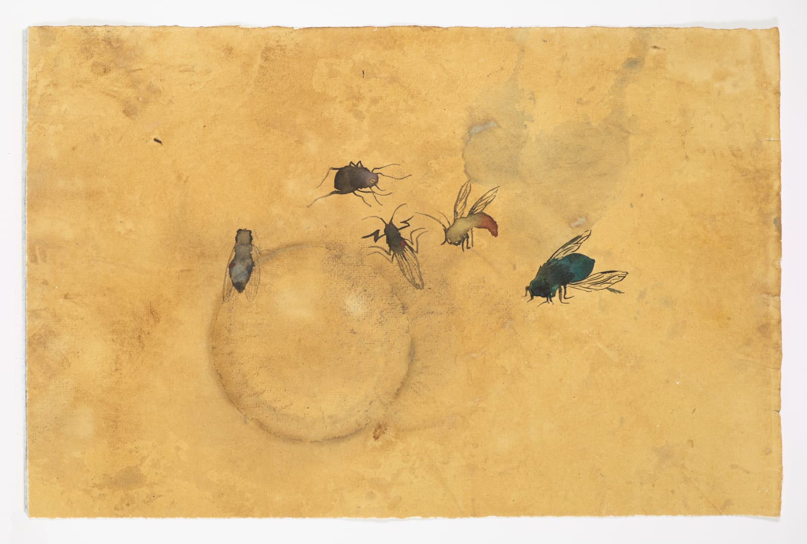 Chioma Ebinama, Winged things, 2022