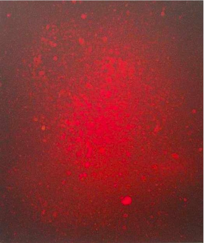 Ha Haengeun, When I was in my Mother's Womb, 2025