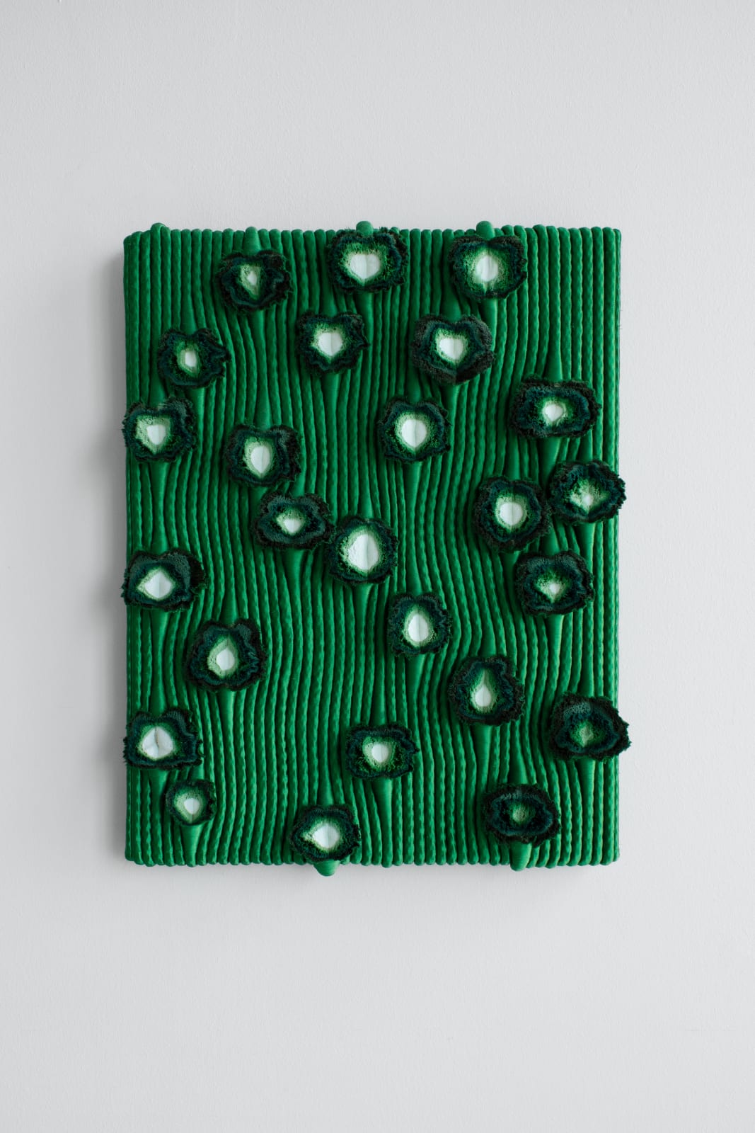 Joana Schneider, Snowdrop