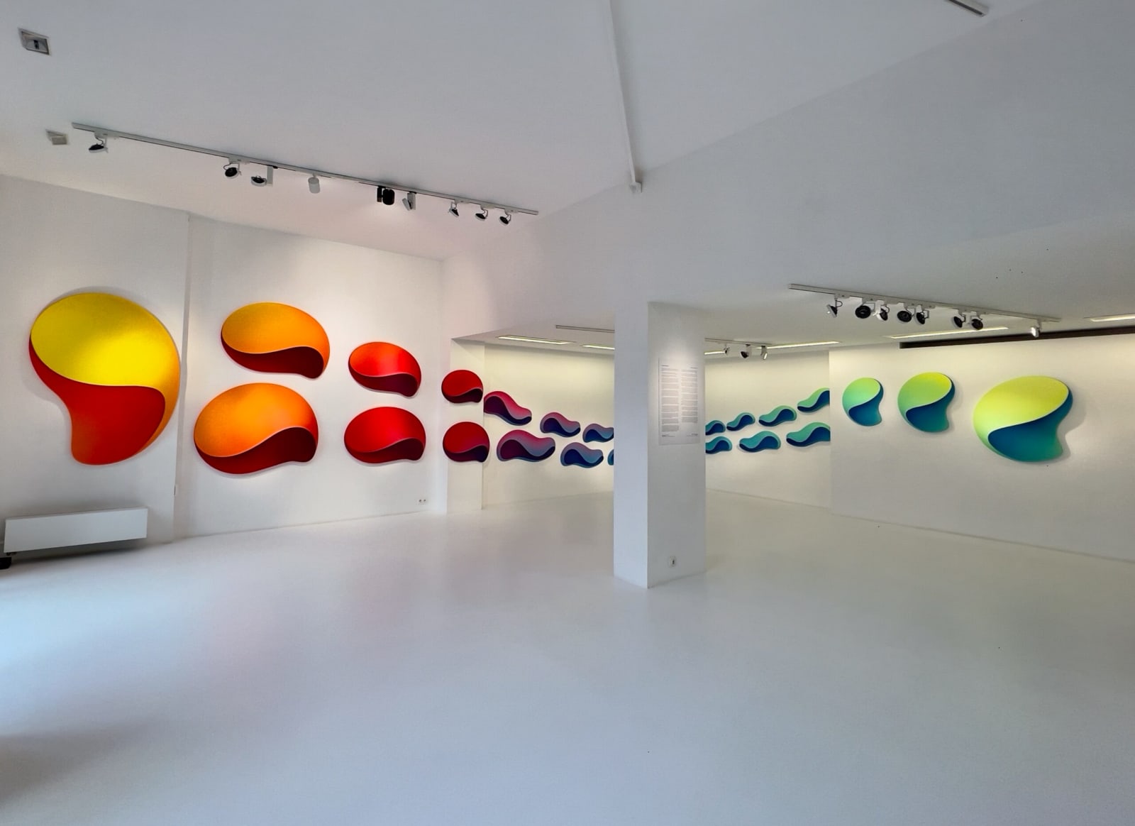 Jan Kaláb, The Wave Theory