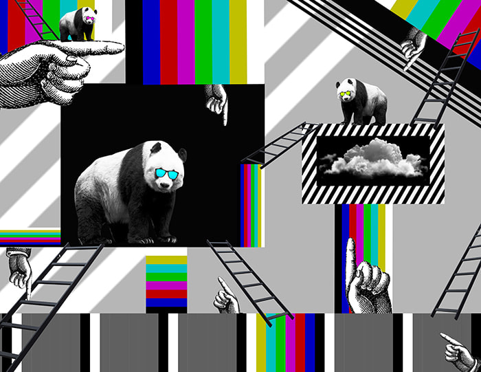 Julia McLaurin, Pandamonium, 2018