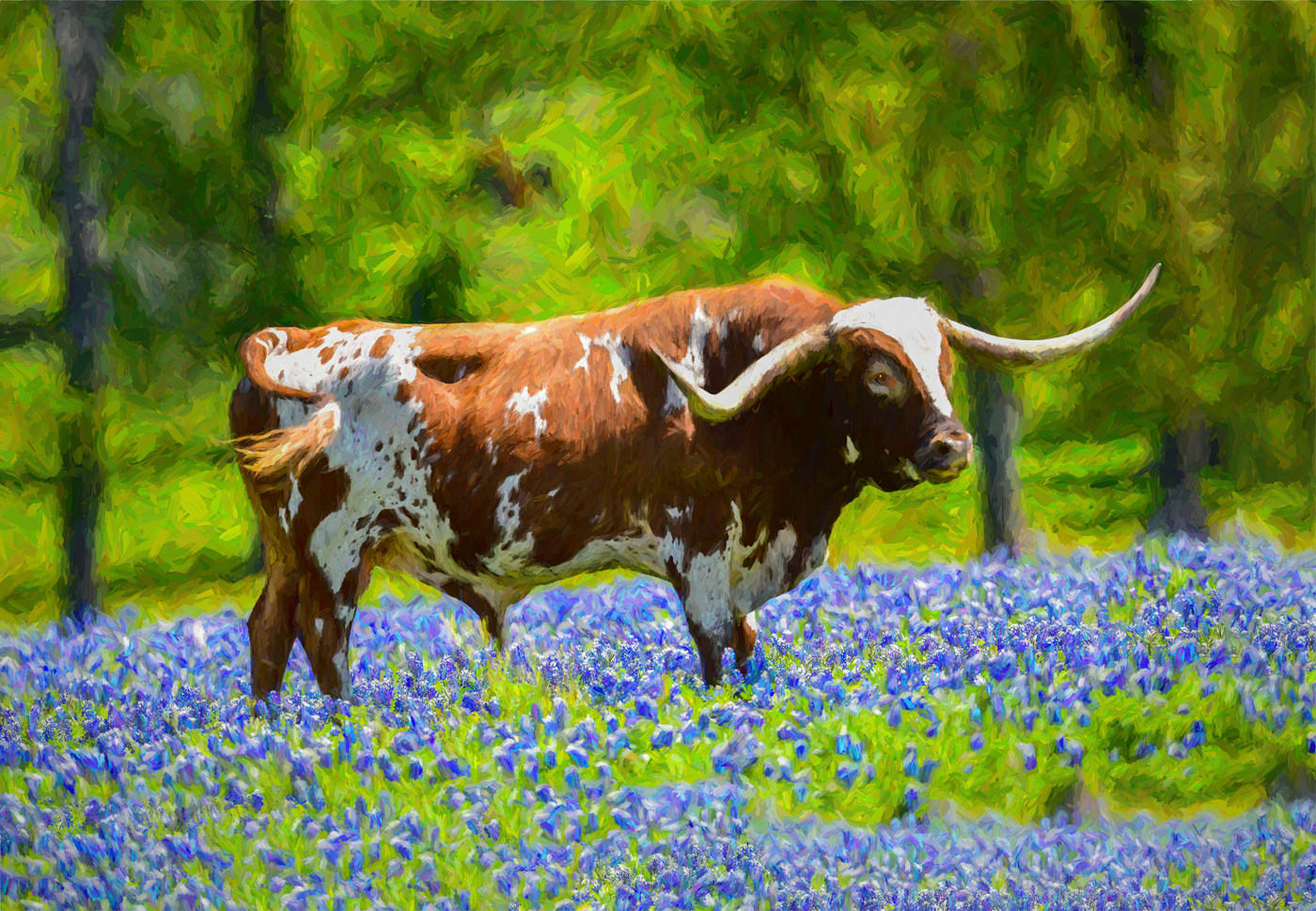 Alan Montgomery, Bevo, 2018