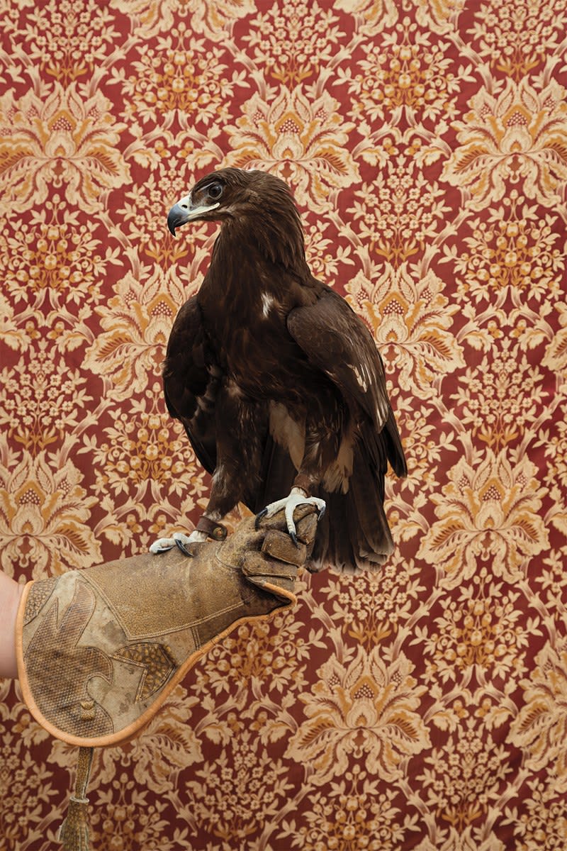 Claire Rosen, Eagle No. 4820