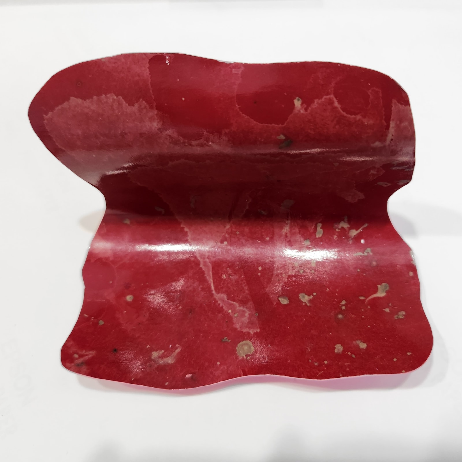 Rosalba Breazeale, Symbiotic Relatives: Albuquerque Soil #2, 2022