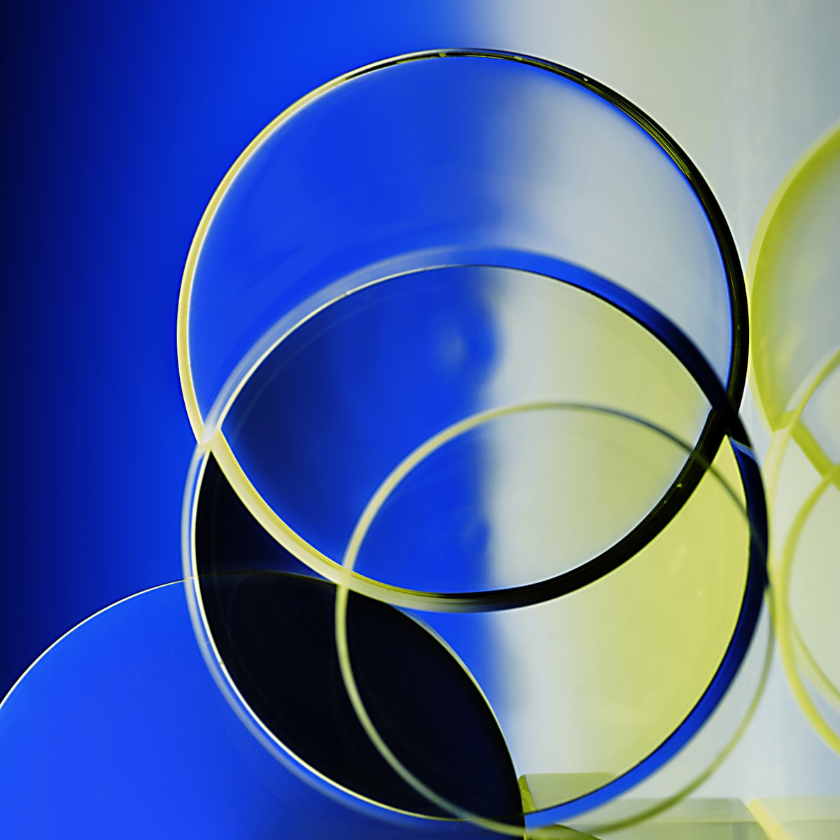 Deborah Bay, Circular Domains, 2016