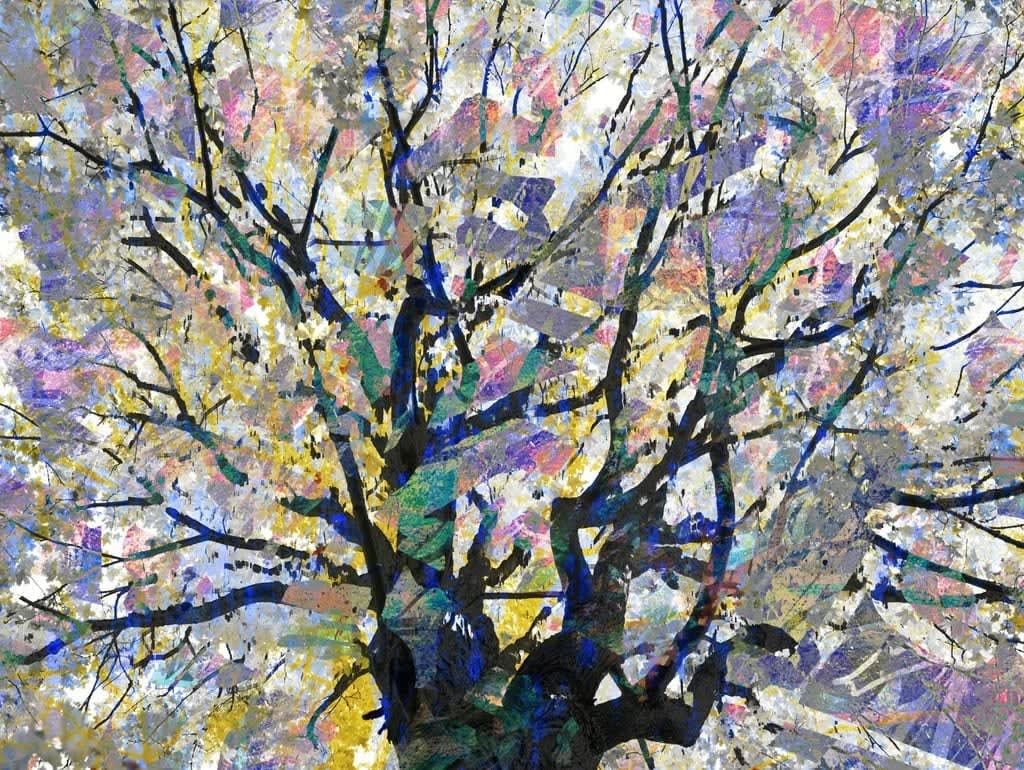 David Reinfeld, Feynman’s Notes #1, 2018