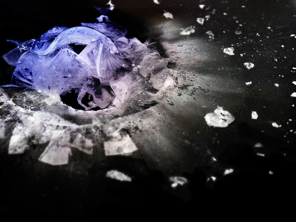 Deborah Bay, .44 Magnum, 2017