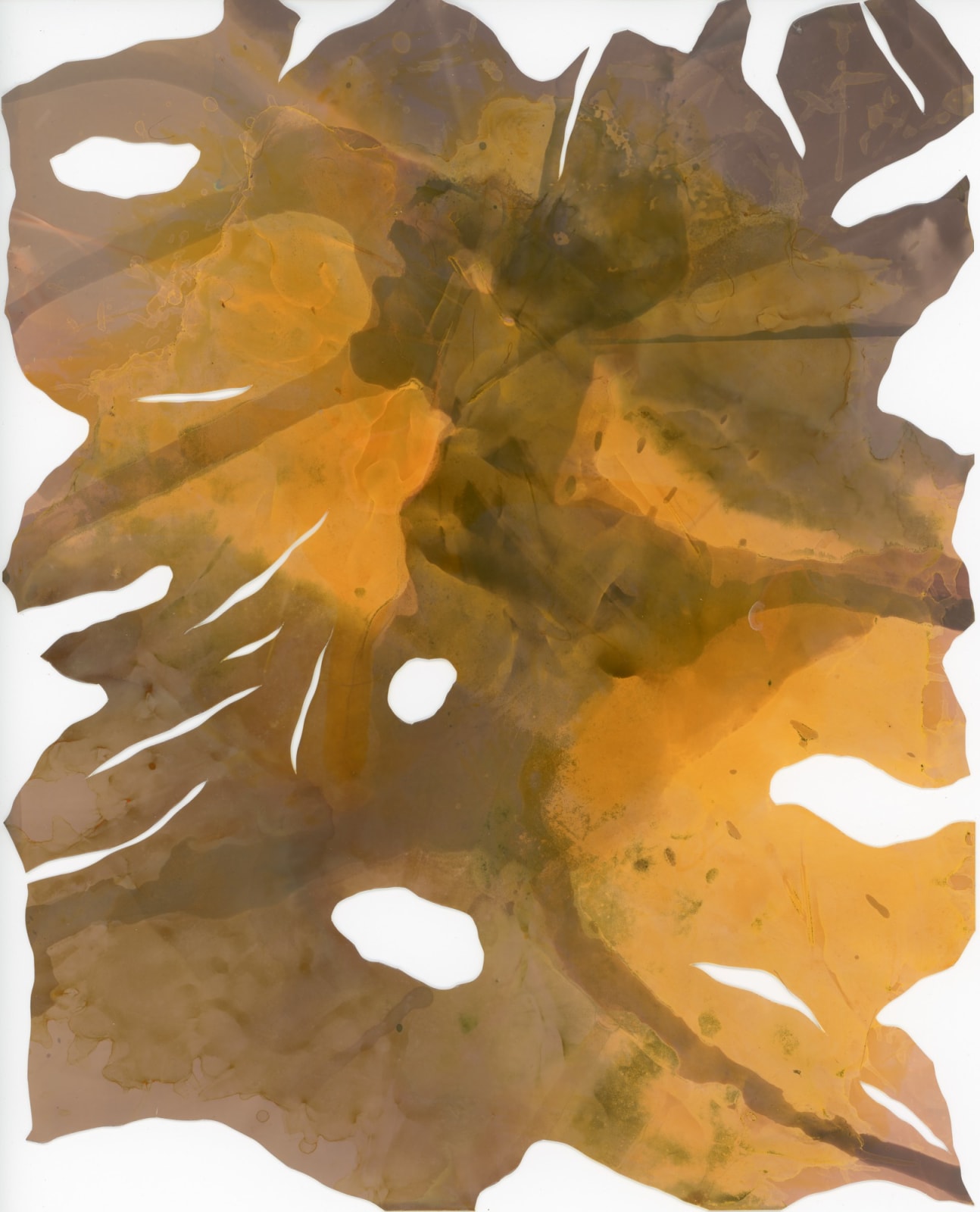 Rosalba Breazeale, Symbiotic Relatives: Late Summer Light Variants at Hewnoaks, 2024