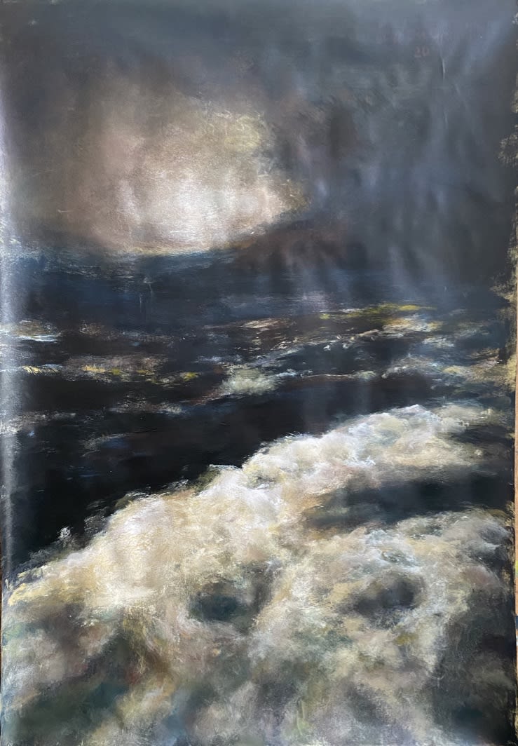 Francine Scialom Greenblatt, Montgomery Pickle, 2020