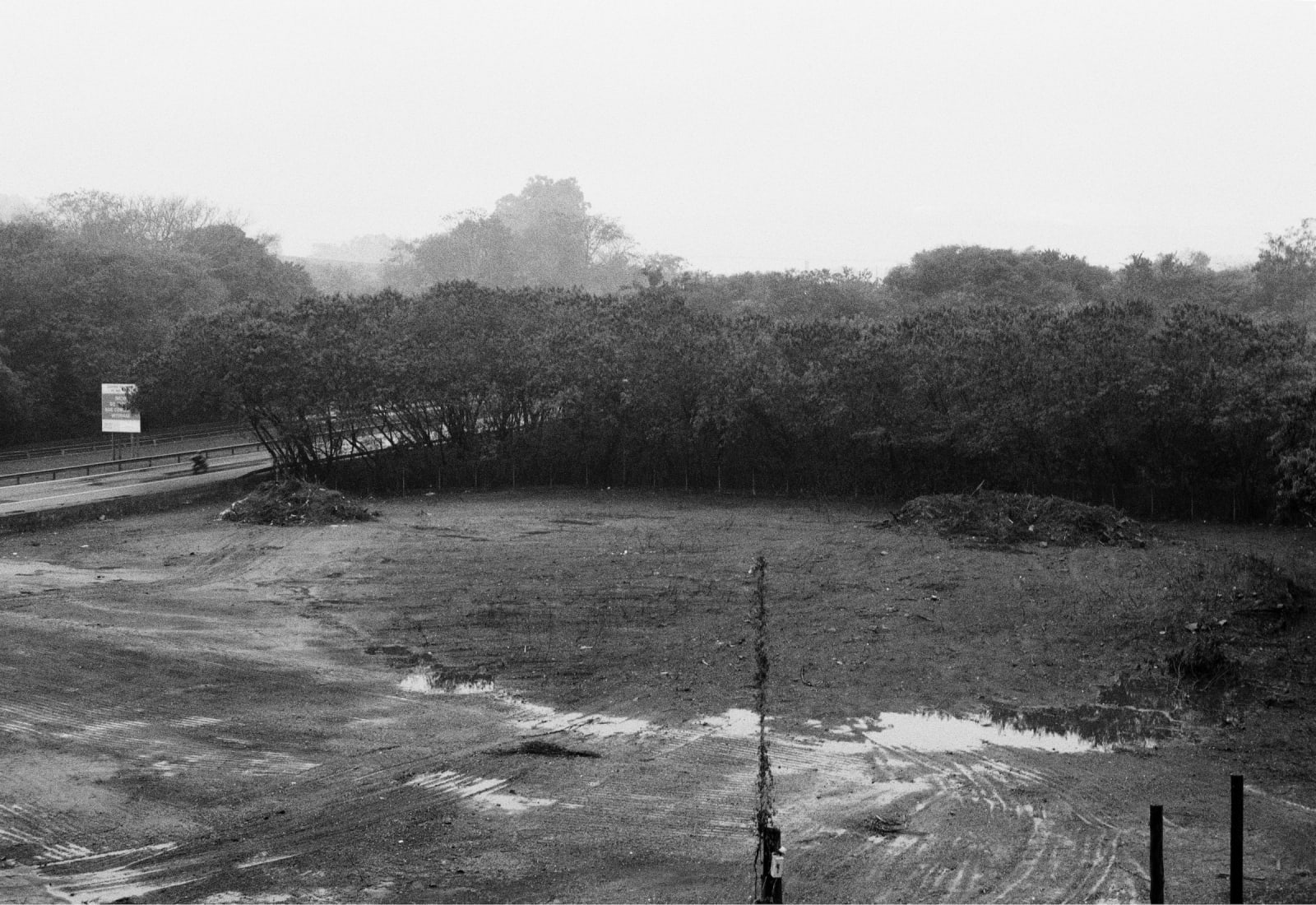 Pedro Paiva, Untitled, 2018