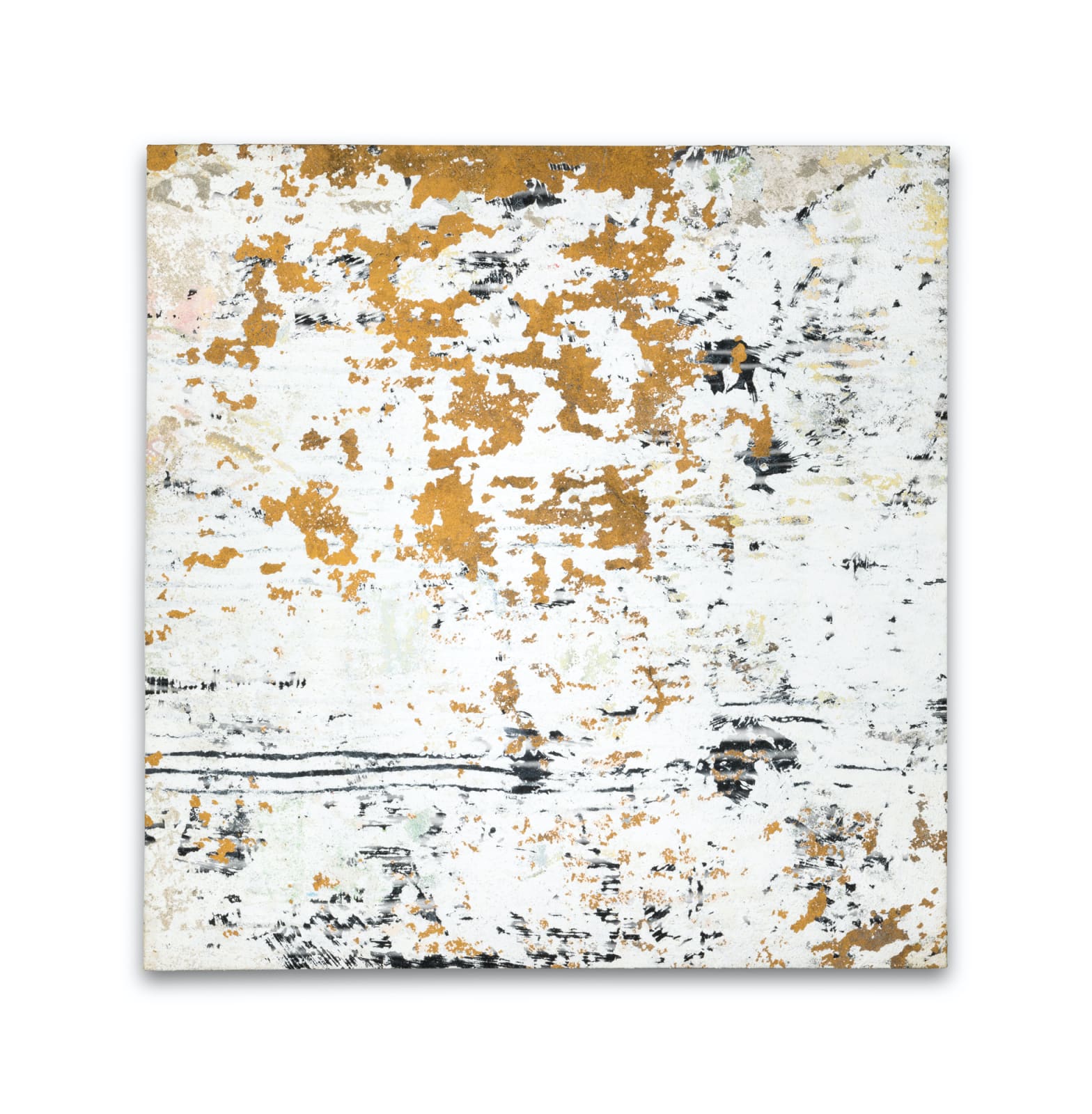 Marta Soares - Untitled