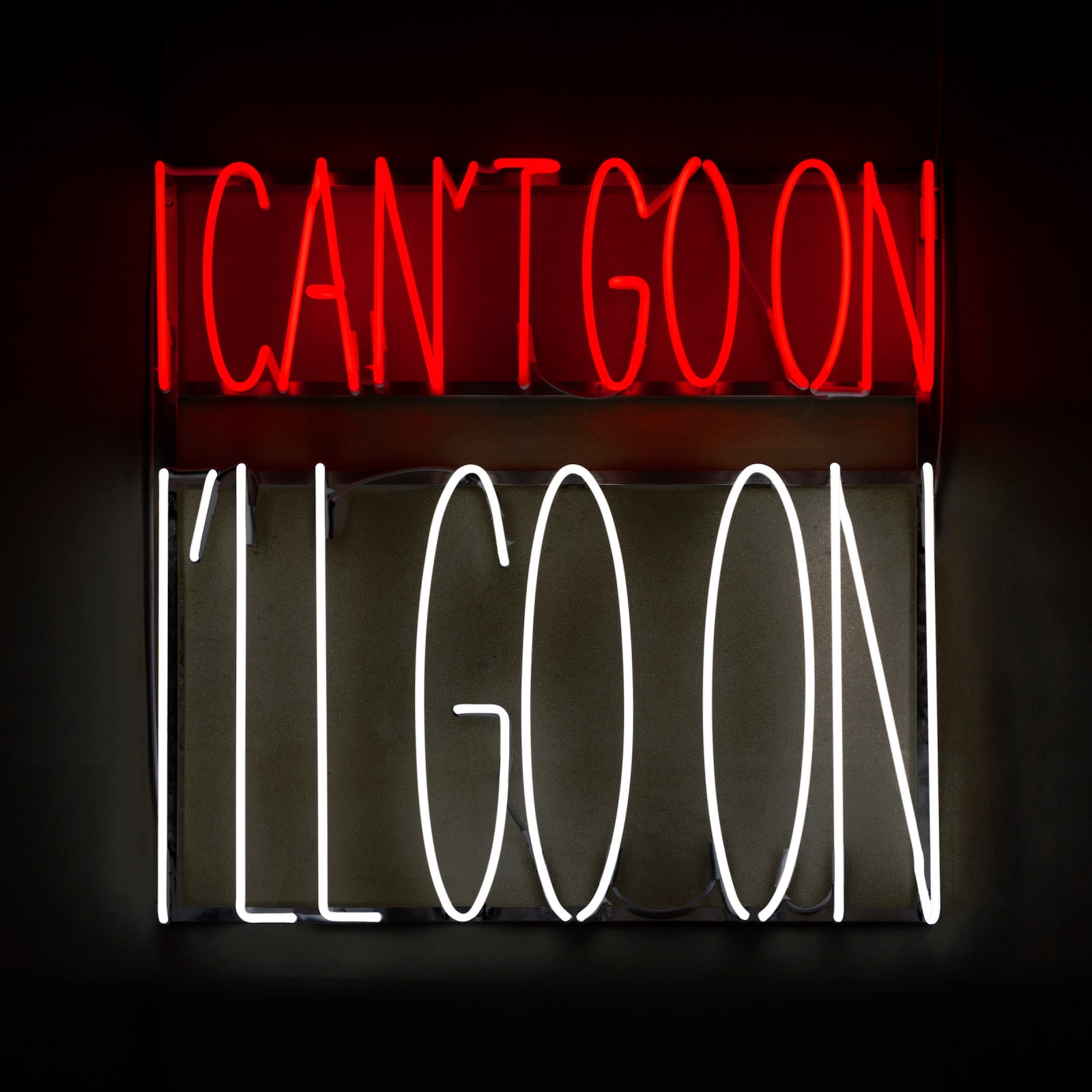 Alfredo Jaar - I CAN’T GO ON. I’LL GO ON.