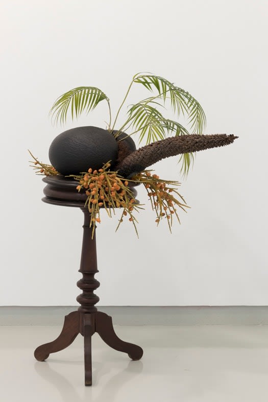 Vasco Araújo, Exotismo #3, 2019