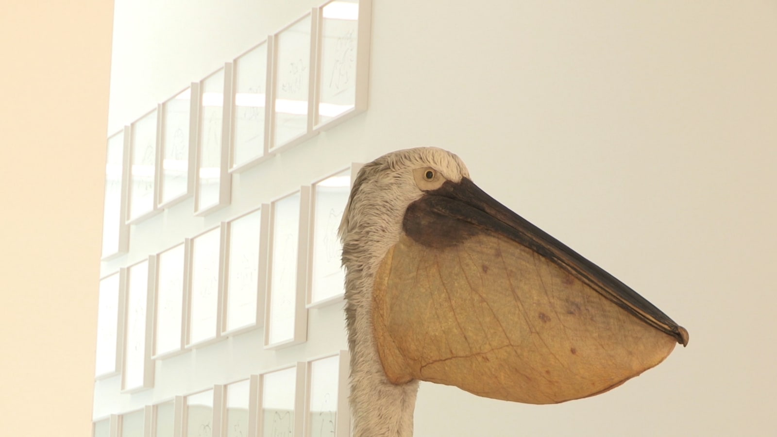 Ali Kazma - Noah’s Ark