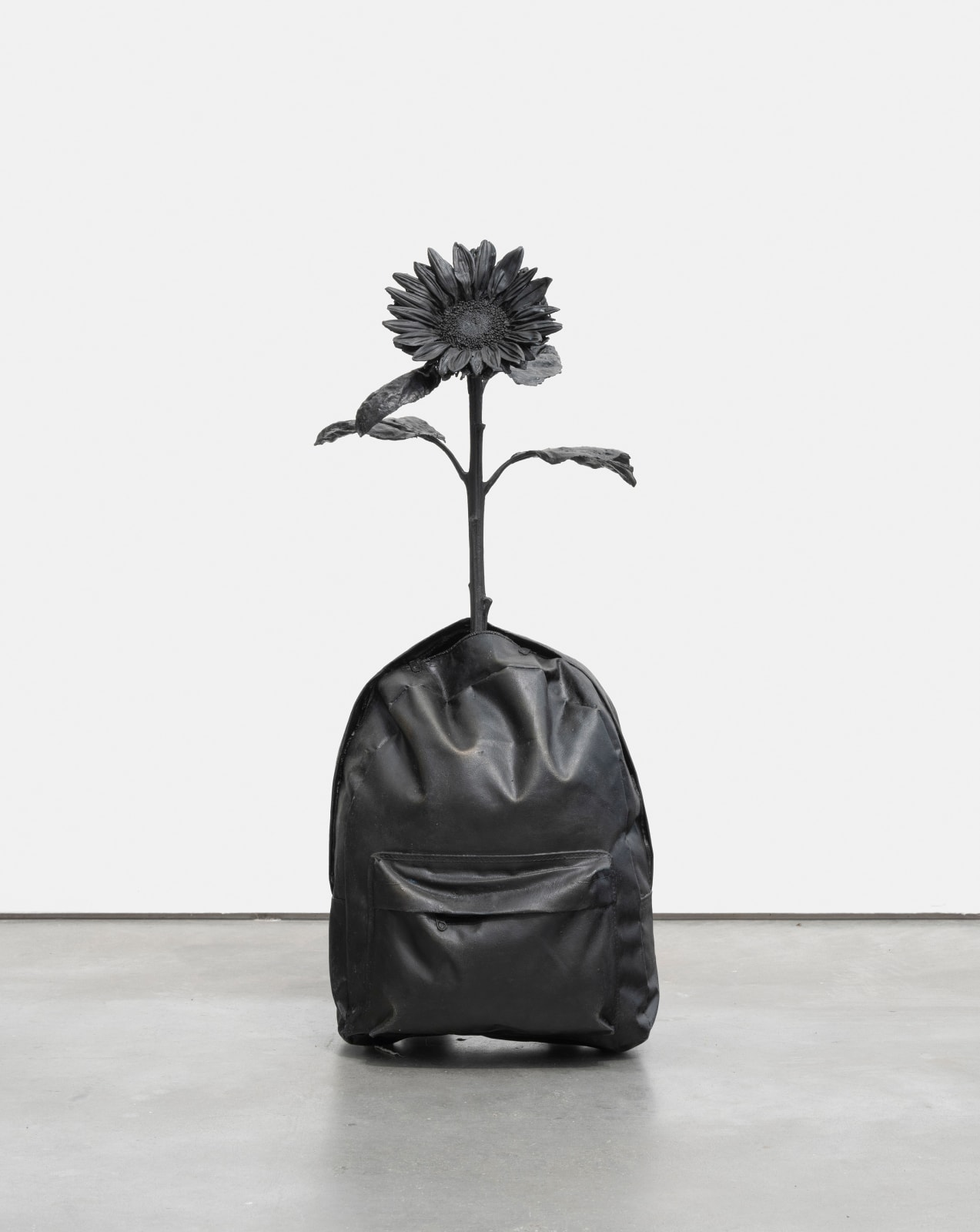 João Motta Guedes - Bringing the flowers to you