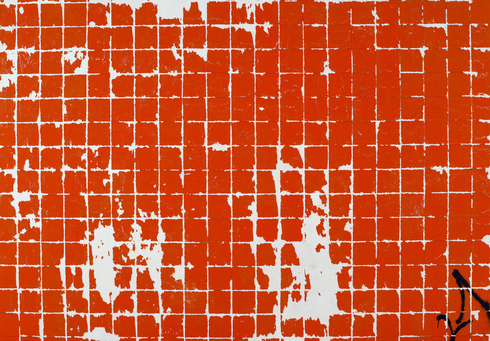 Marta Soares - Untitled