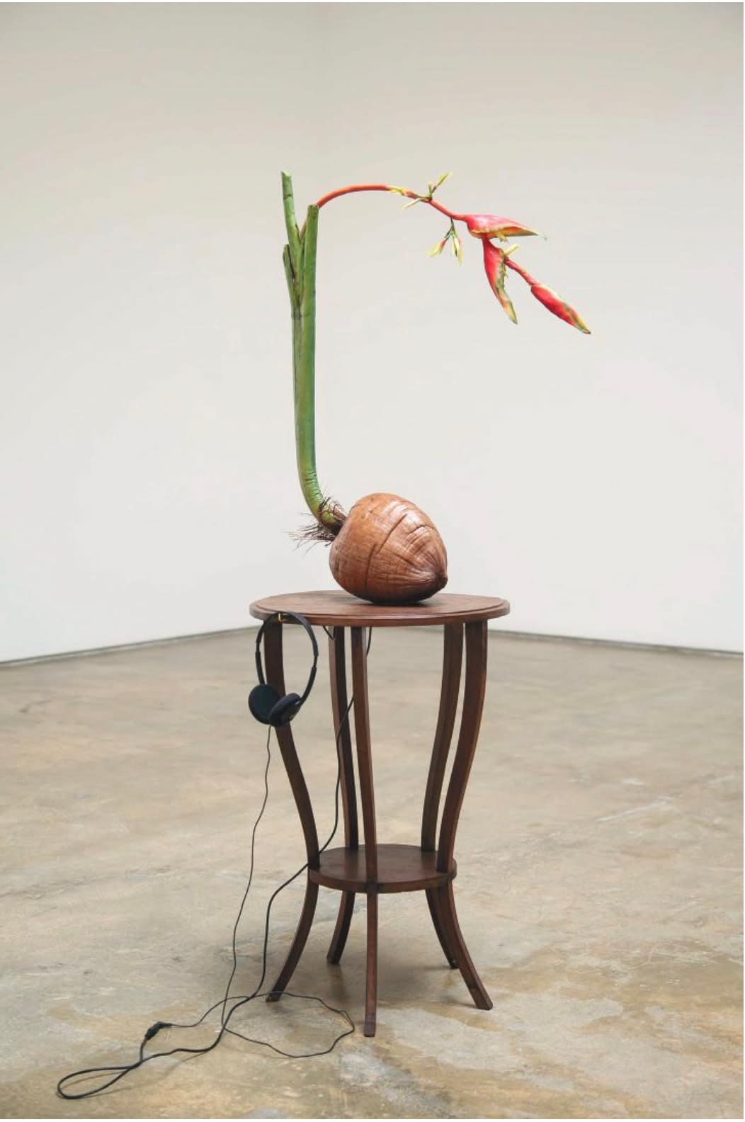 Vasco Araújo, Exotismo #2, 2014