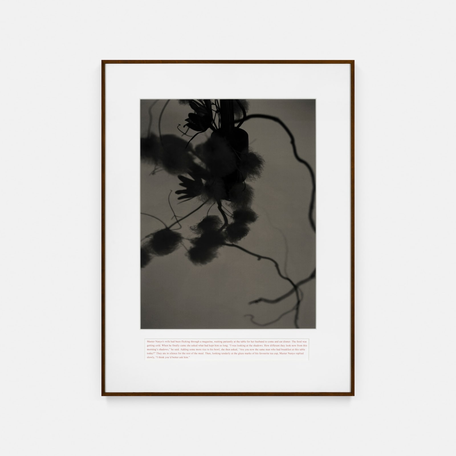 João Penalva - Master Nanyo's dark evening shadows (II)