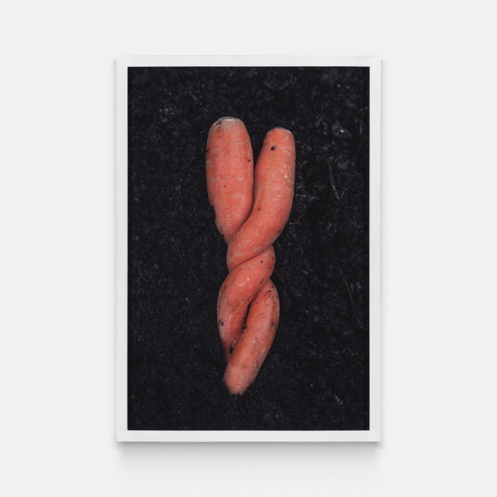 Adrien Missika - I Do Not Want to Die Alone