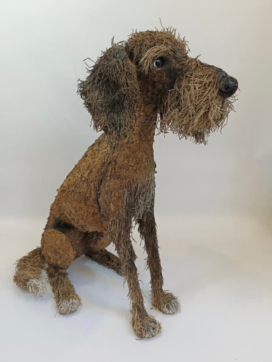 Gemma Rees, German Wire Haired Pointer
