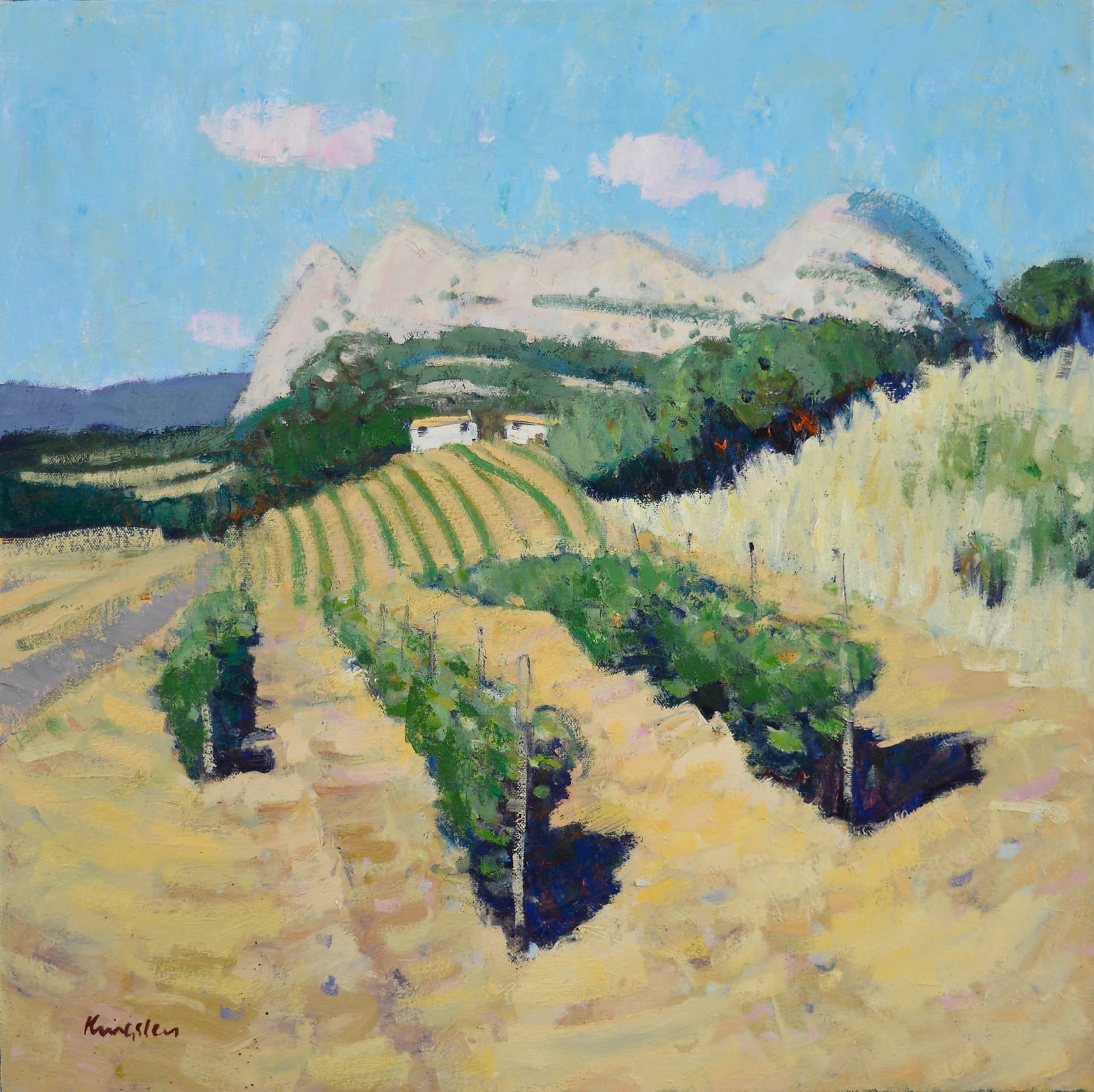 John Kingsley, RSW PAI, Vineyard, Patrimonio, Corsica
