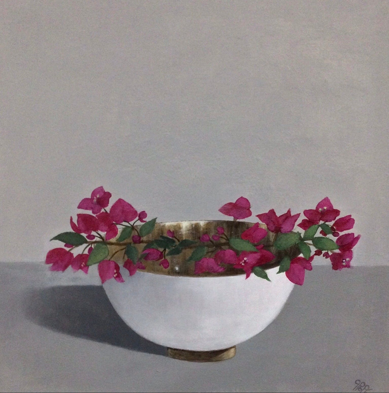 Gail Pope, Bougainvillea