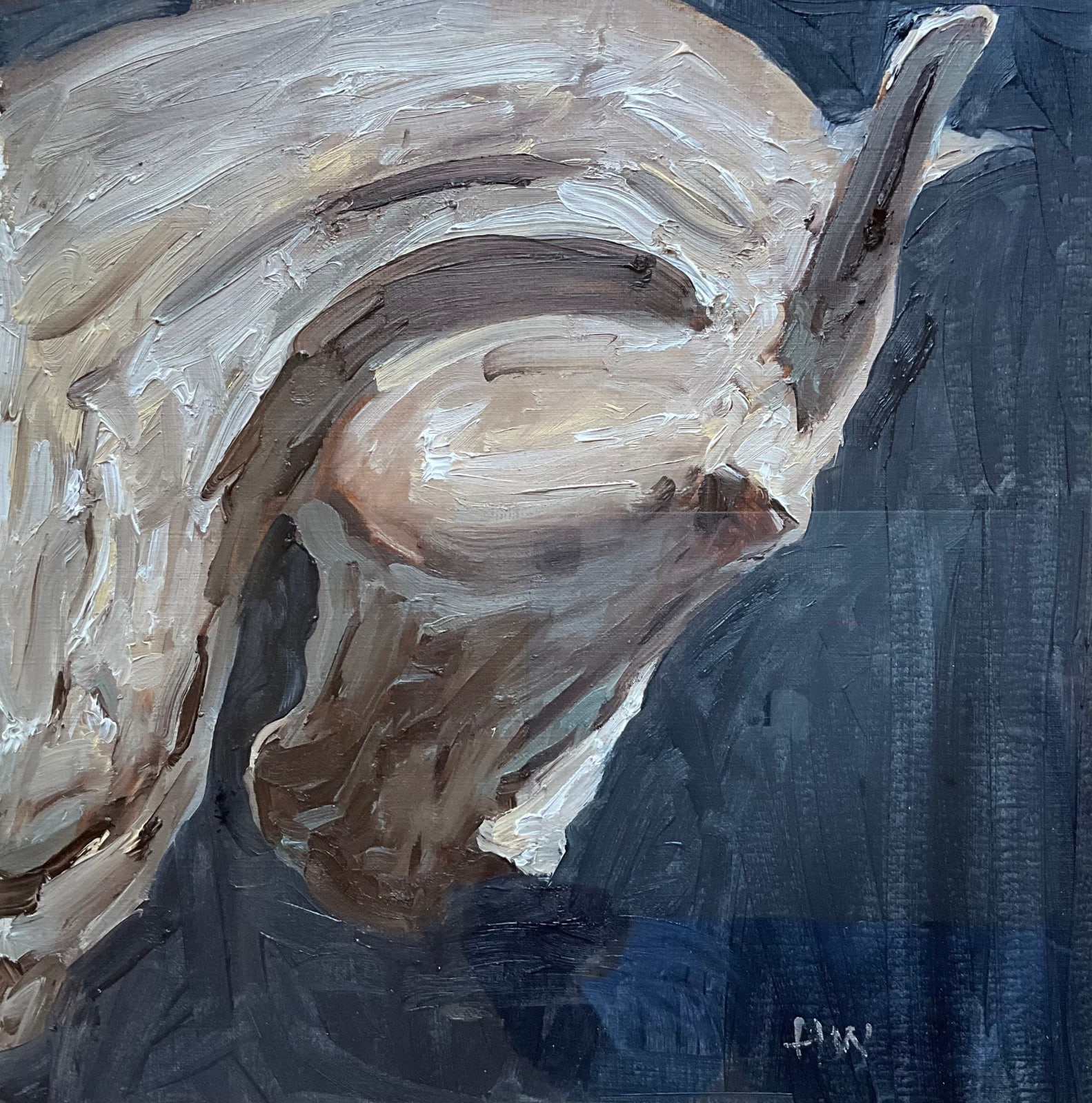 Huw Williams, Study for ‘Stallion Arched Neck’