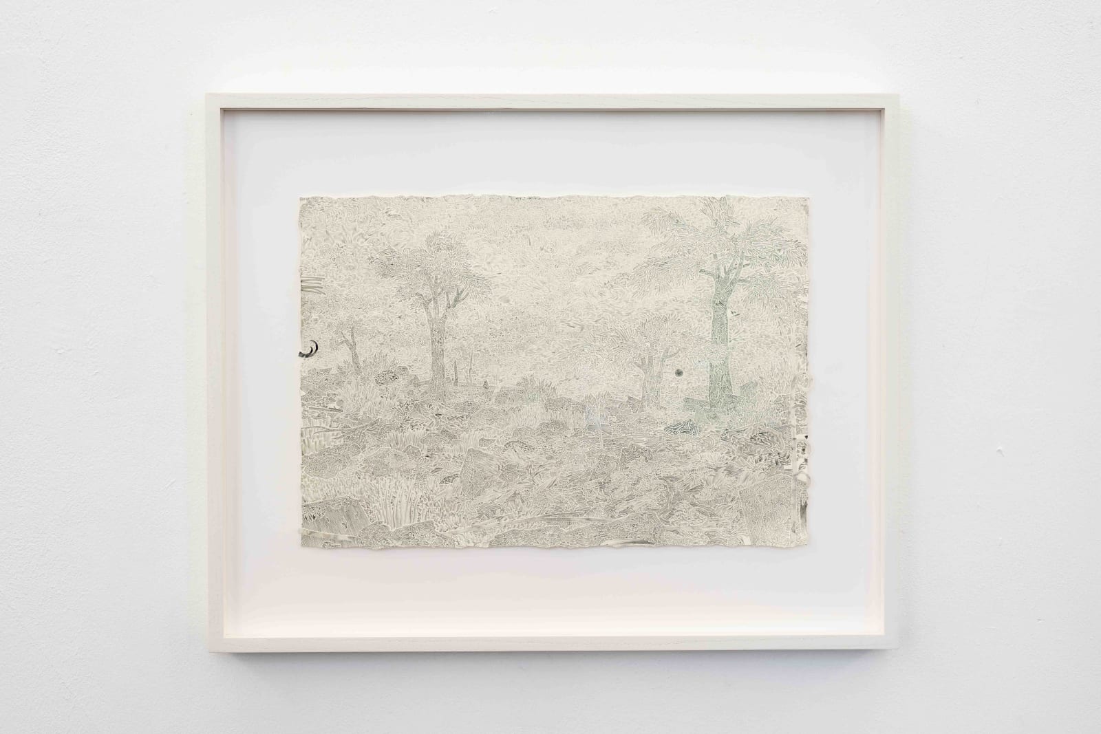 Fabrice Souvereyns, Not erased, pedigree, 2024