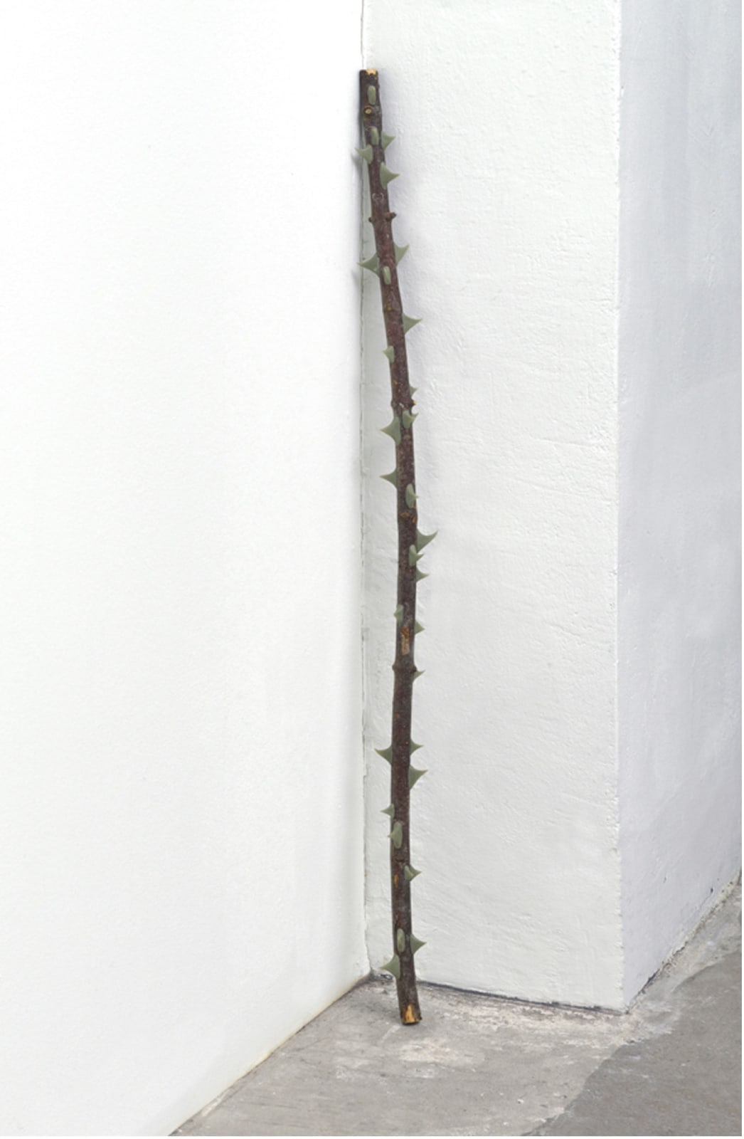 Maja Klaassens, Rose, 2022