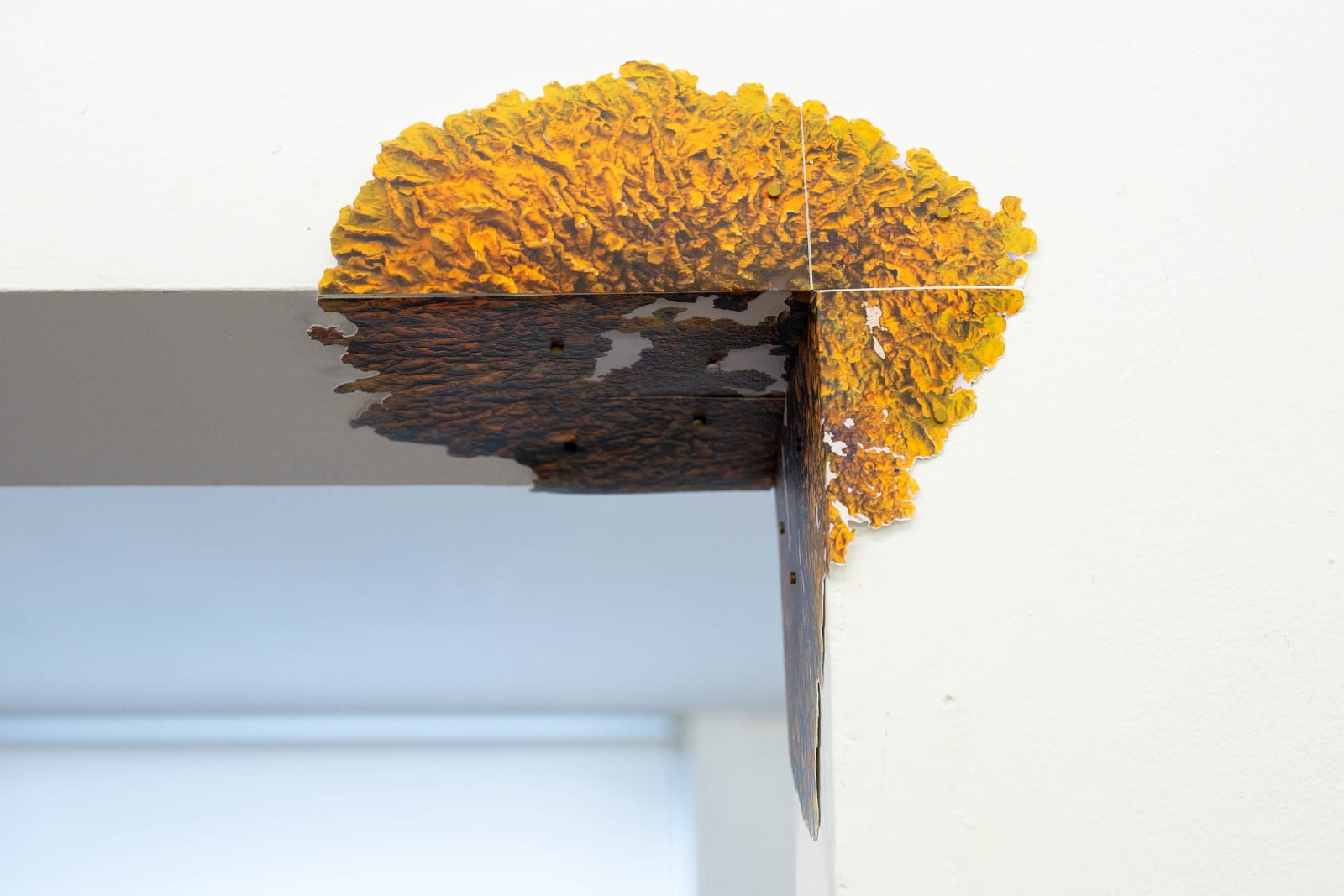 Liesbeth Henderickx, vouwpatroon model naar hoek korstmos 1, 2024