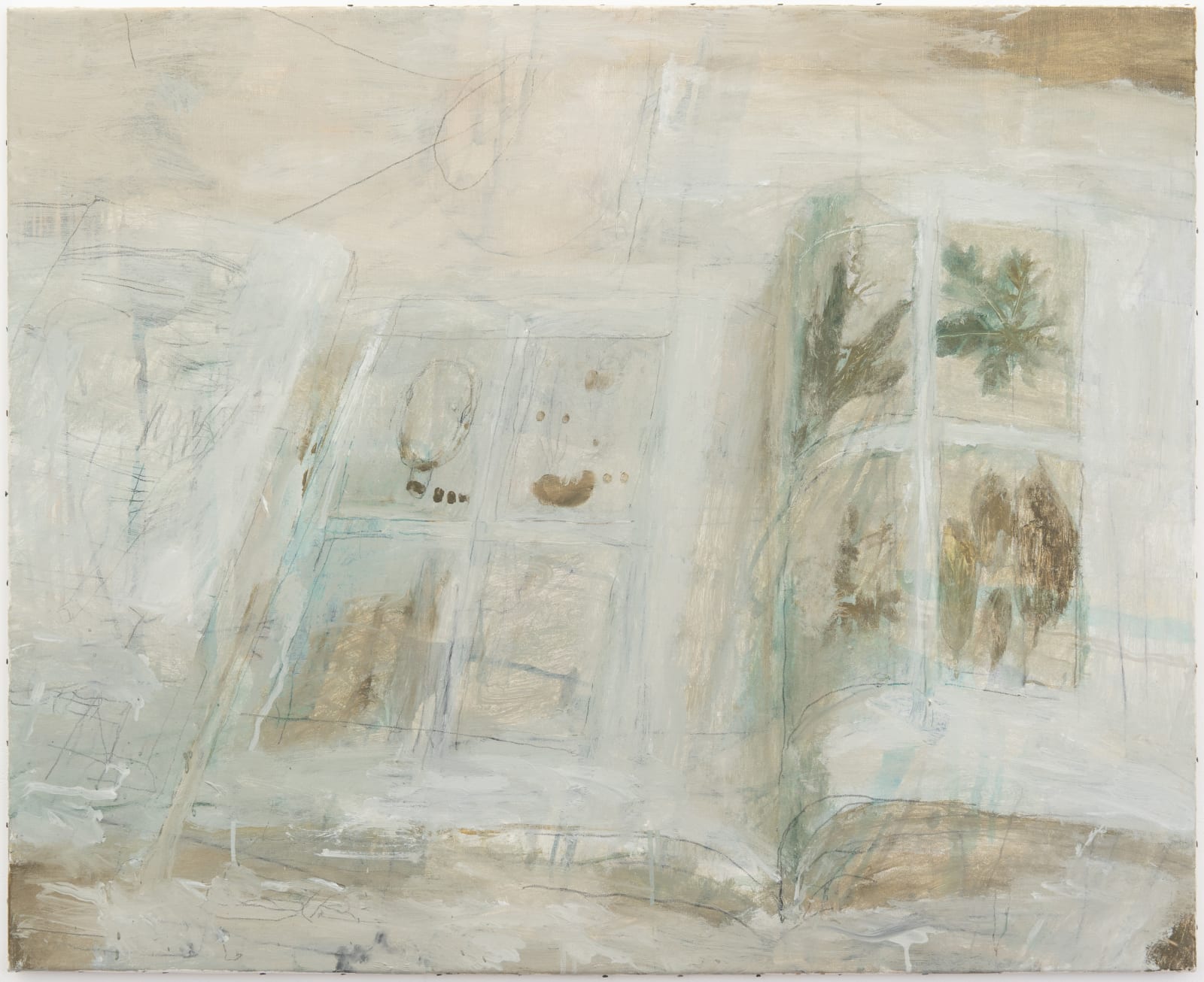 vana, Aspecten van het Braziliaanse regenwoud, 2023