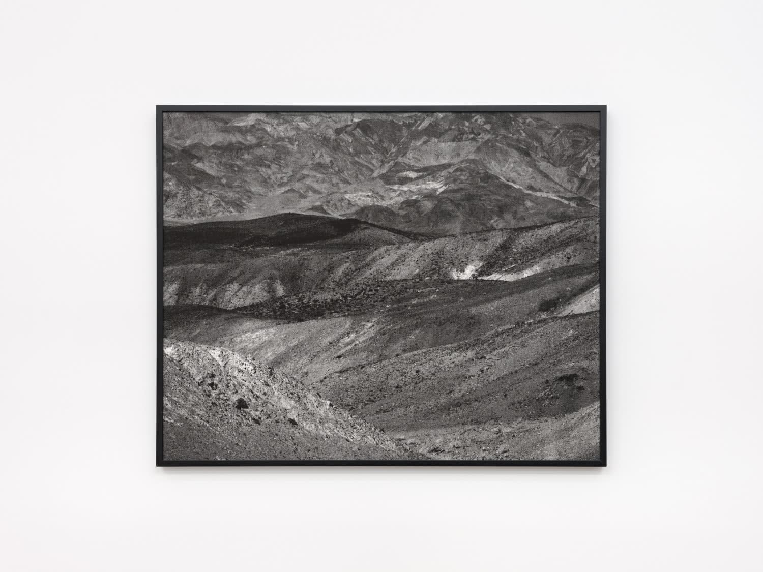 Jana Coorevits, Terra Preta, 2019