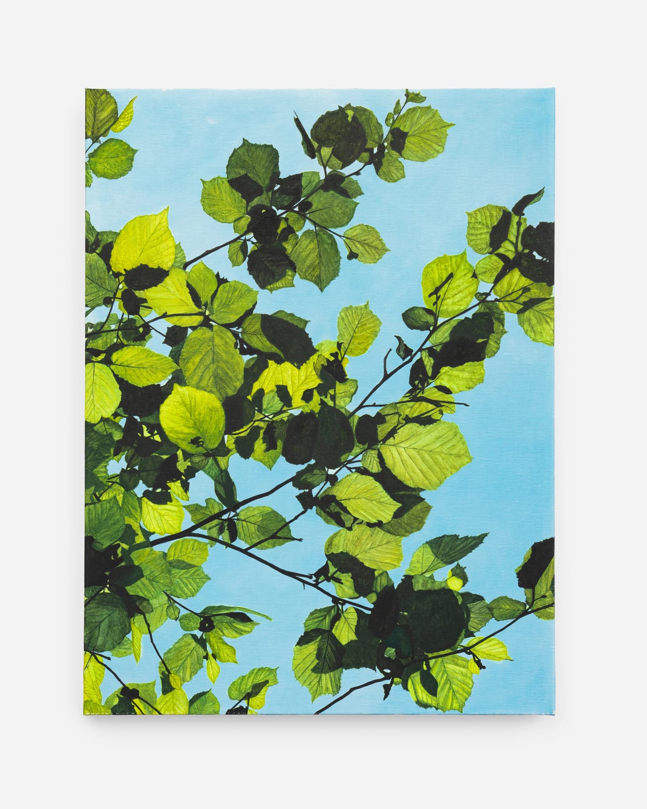 Rebecca Partridge, Day Trees (WG II), 2025