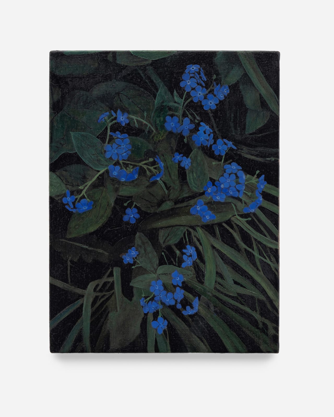 Rebecca Partridge, Wildflowers, Night: Forget me not, 2025