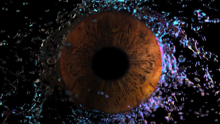 RAQS MEDIA COLLECTIVE, Unruly Iris of Dissent (U.I.D 2), 2023