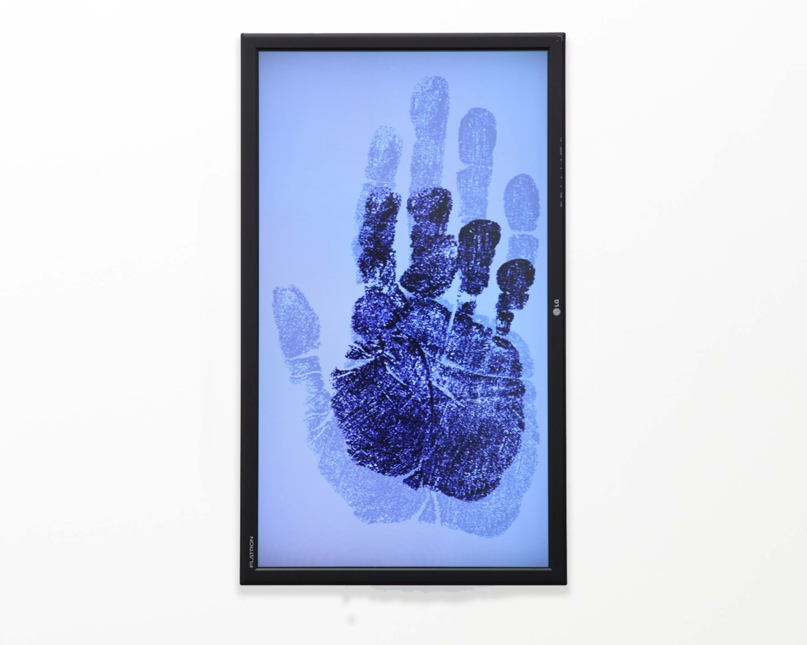 RAQS MEDIA COLLECTIVE, Untold Intimacy of Digits, 2011