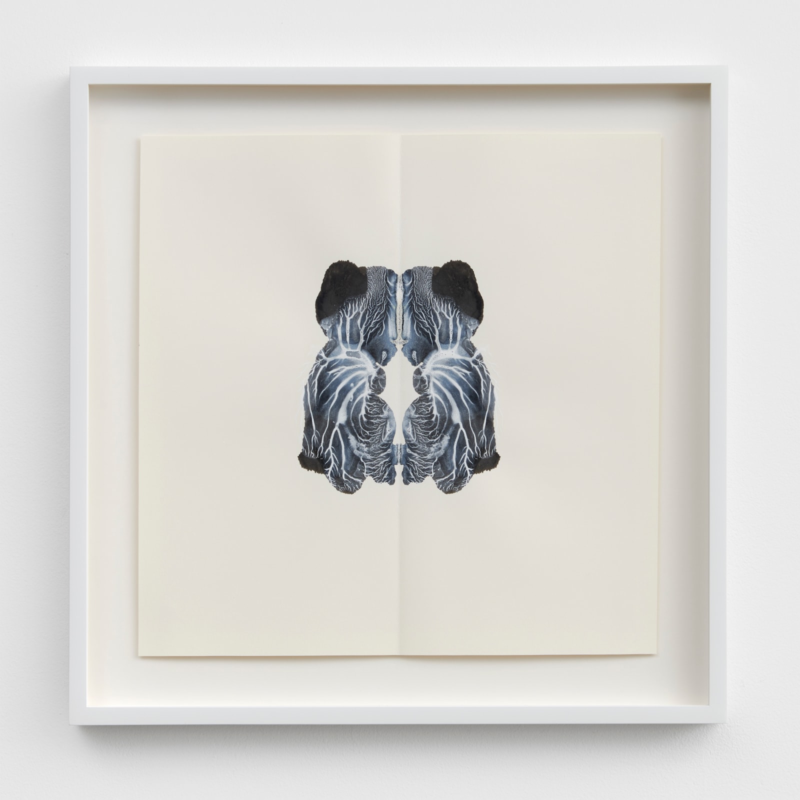 CORNELIA PARKER, Poison and Antidote Drawing, 2010