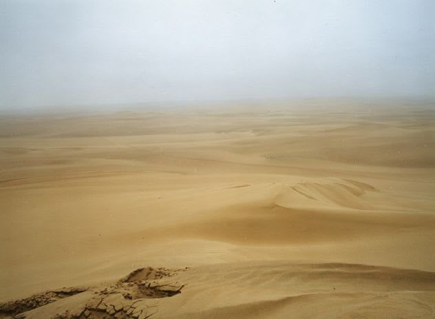 BRIDGET SMITH, Desert (collapse), 2005