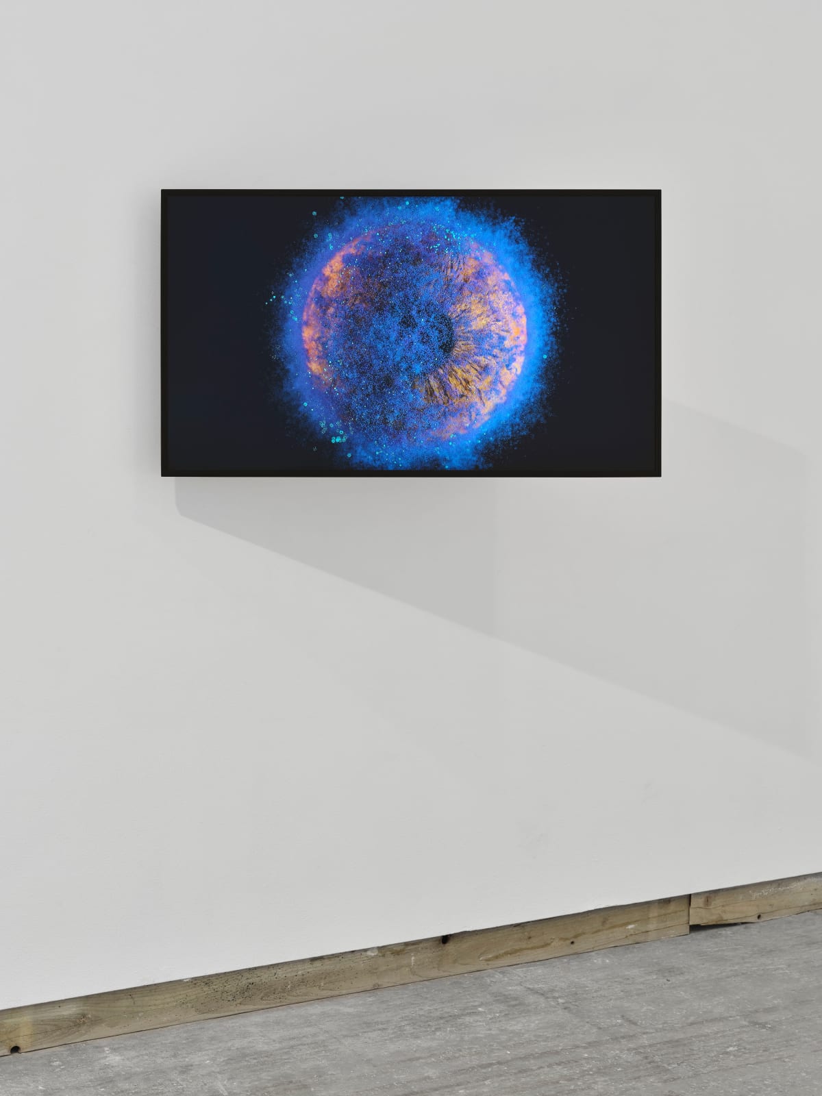 RAQS MEDIA COLLECTIVE, Unruly Iris of Dissent (U.I.D 2), 2023