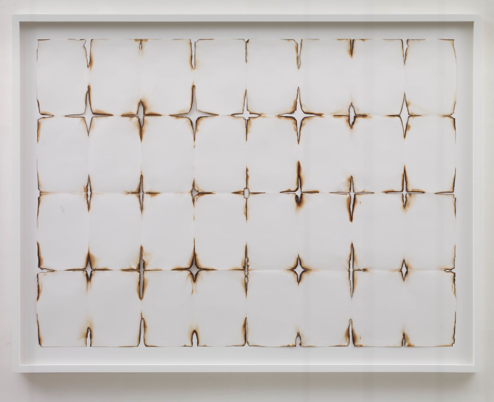 CORNELIA PARKER, Red Hot Poker Drawing, 2013
