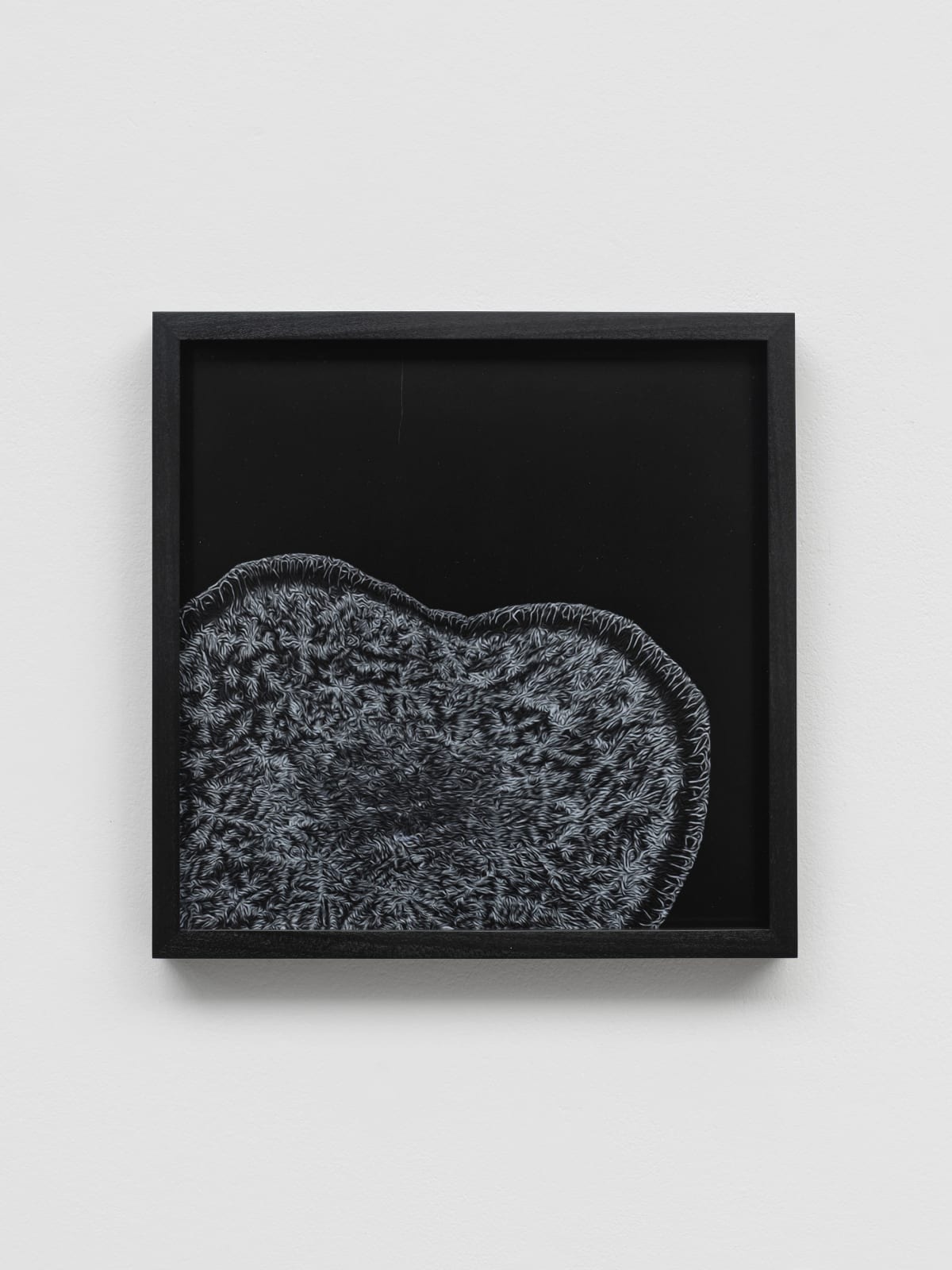 RAQS MEDIA COLLECTIVE, Delta 1 - 4, 2023–24