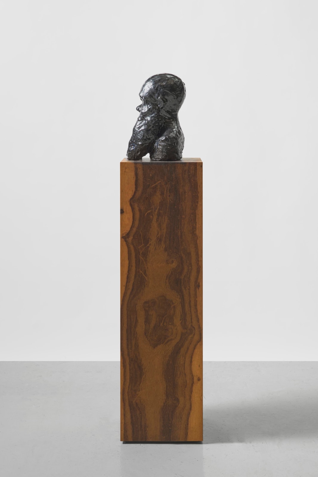 DANIEL SILVER, Black and Blue, 2021